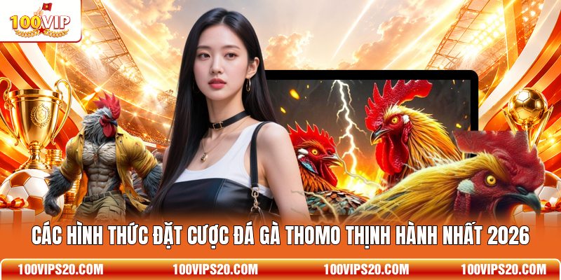 Các hình thức đặt cược đá gà Thomo thịnh hành nhất 2026