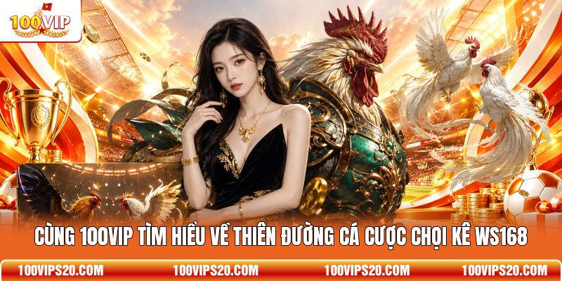 Cùng 100VIP tìm hiểu về thiên đường cá cược chọi kê WS168