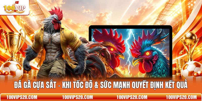 Đá Gà Cựa Sắt - Khi Tốc Độ & Sức Mạnh Quyết Định Kết Quả