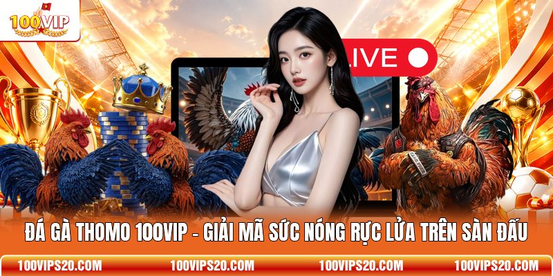 Đá Gà Thomo 100VIP - Giải Mã Sức Nóng Rực Lửa Trên Sàn Đấu