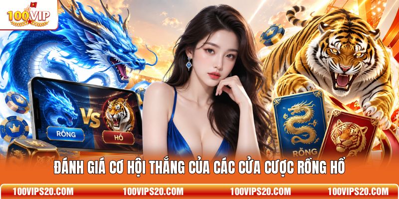Đánh giá cơ hội thắng của các cửa cược Rồng Hổ
