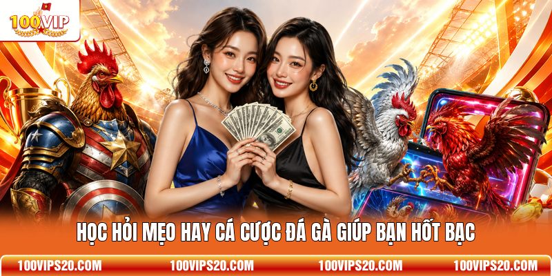Học hỏi mẹo hay cá cược đá gà giúp bạn hốt bạc