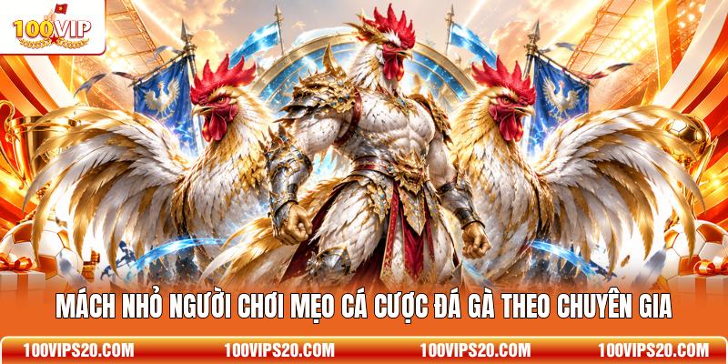 Mách nhỏ người chơi mẹo cá cược đá gà theo chuyên gia