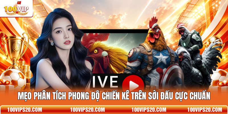 Mẹo phân tích phong độ chiến kê trên sới đấu cực chuẩn