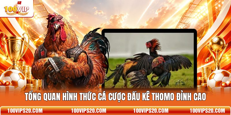 Tổng quan hình thức cá cược đấu kê Thomo đỉnh cao