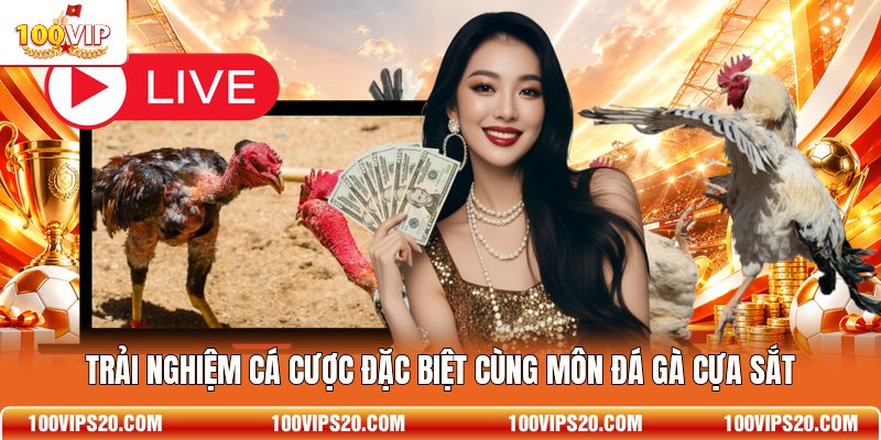 Trải nghiệm cá cược đặc biệt cùng môn đá gà cựa sắt